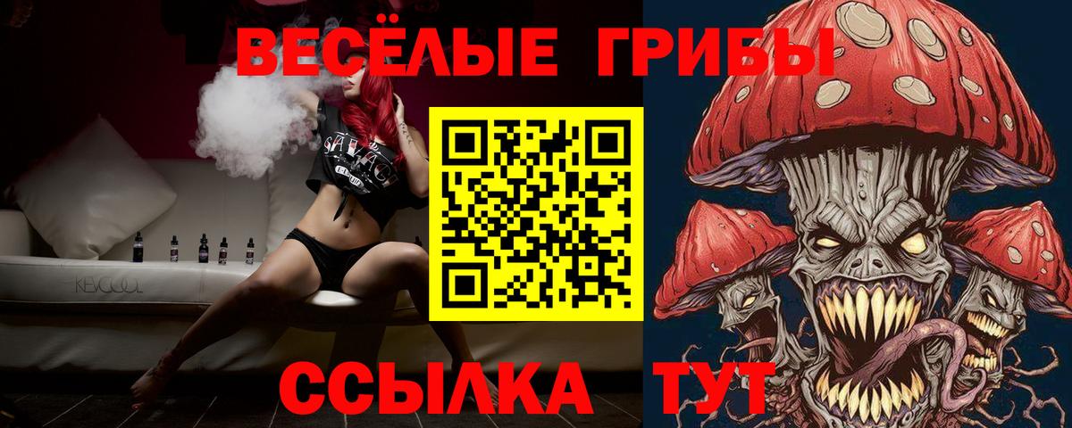 Набережные Челны  Псилоцибиновые грибы прущие грибы  Вход с VPN 