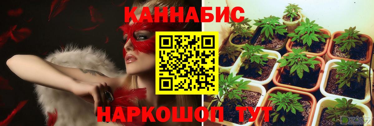Марихуана планчик Набережные Челны
